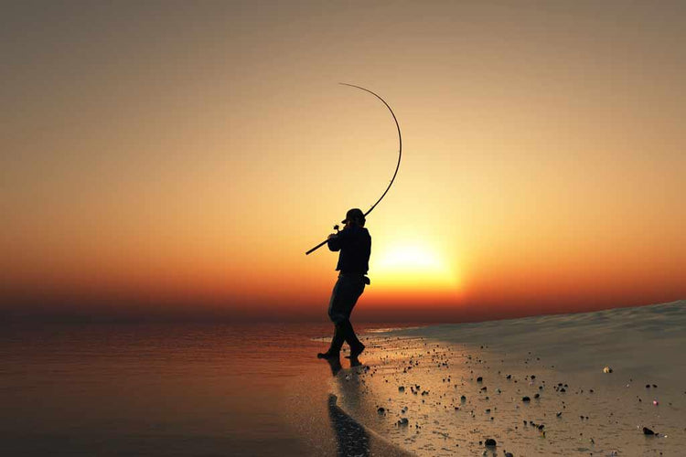 Beach, Bank, Ground Rod Holders - What the Fish Fishing Gear