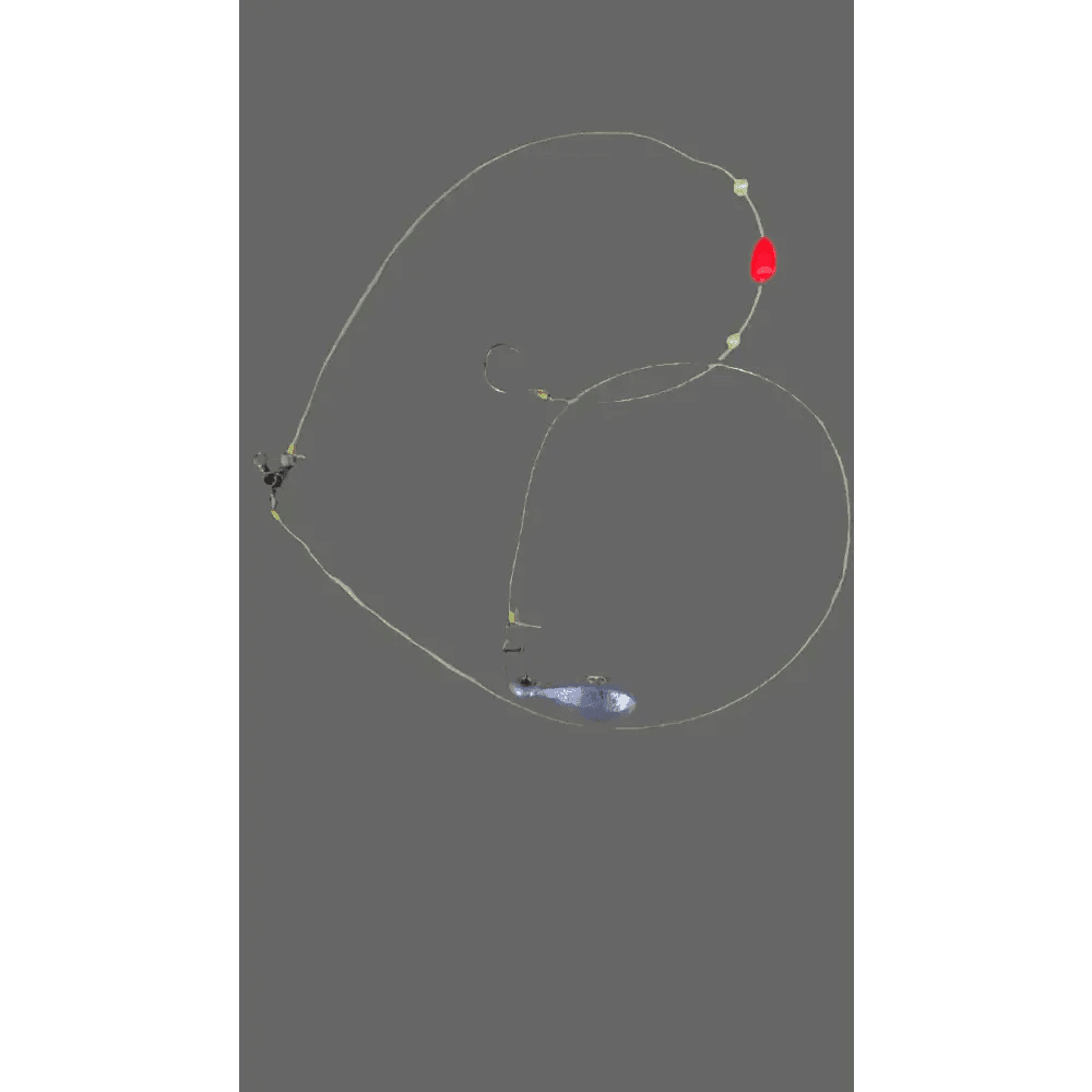 Catfish Rig - Pre-Tied Fishing Rig for Easy Catfishing Adventures - What the Fish Fishing Gear